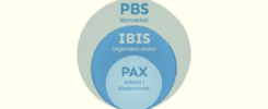 En bild som illustrerar relationen mellan PBS, IBIS och PAX i skolan